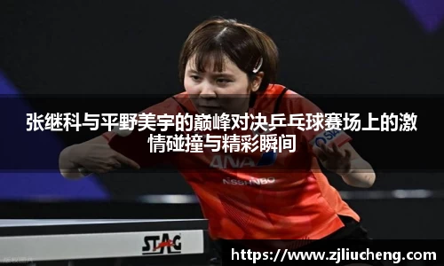 张继科与平野美宇的巅峰对决乒乓球赛场上的激情碰撞与精彩瞬间